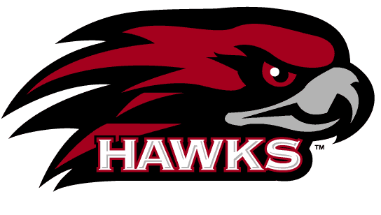 St. Joseph's Hawks 2001-Pres Alternate Logo v3 diy fabric transfers